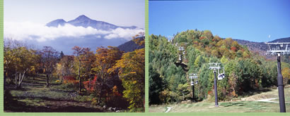 �O�����f�R���]�[�g�^�p�m���}�S���h��